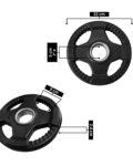 Aparato Para Glúteo - Body Solid - Imagen 5