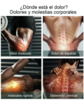Masajeador Muscular - Imagen 4